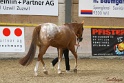 24-ApHC HIH_093